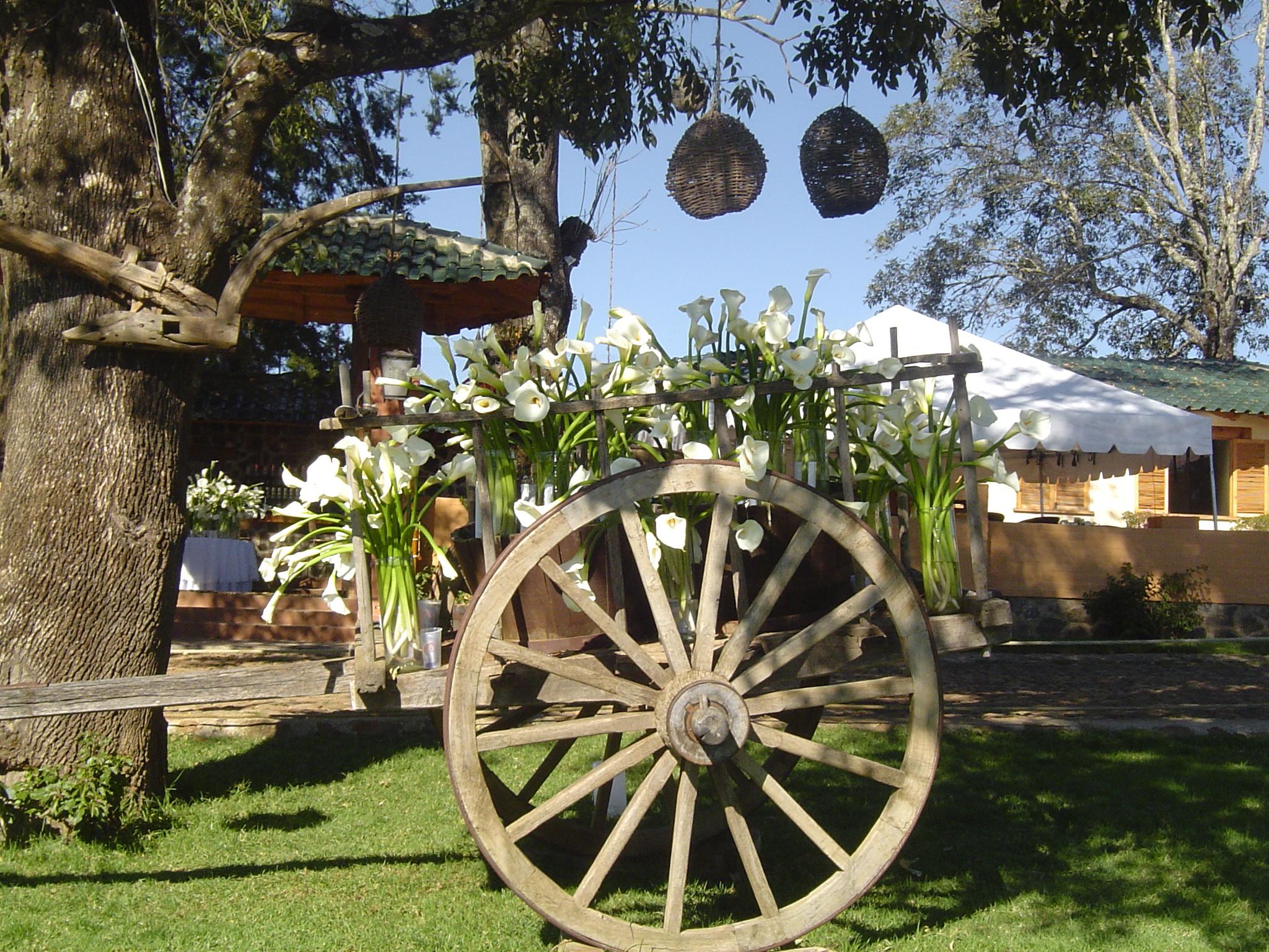 Bosque Escondido Otel Mazamitla Dış mekan fotoğraf