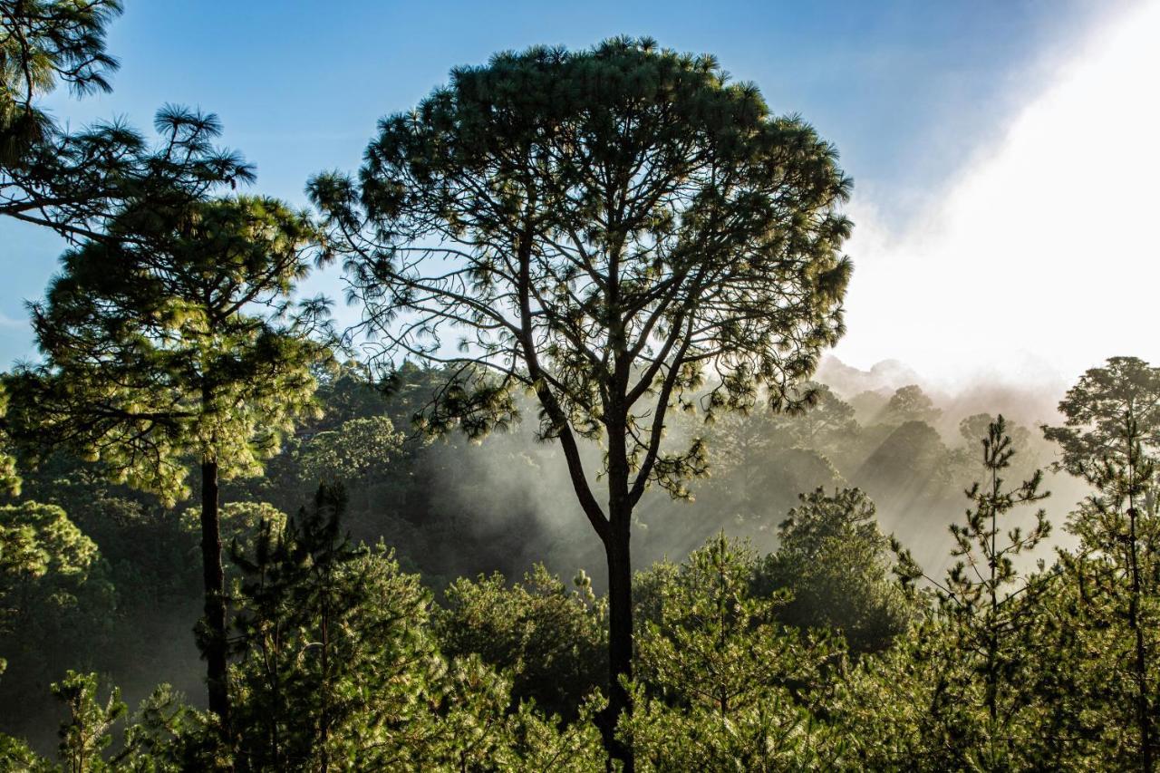 Bosque Escondido Otel Mazamitla Dış mekan fotoğraf