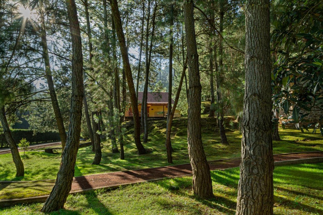 Bosque Escondido Otel Mazamitla Dış mekan fotoğraf